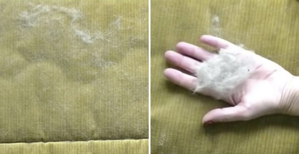 Pelos de mascota del sofá - Sofás Elche